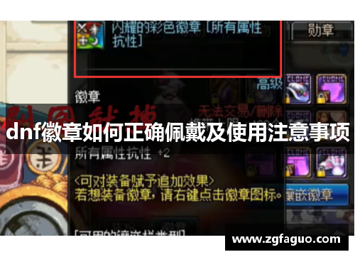 dnf徽章如何正确佩戴及使用注意事项